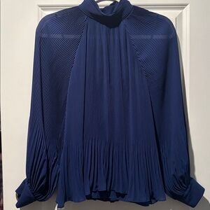 Banana Republic Deep Blue Pleated Top